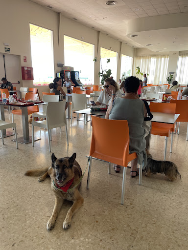 Foto del negocio