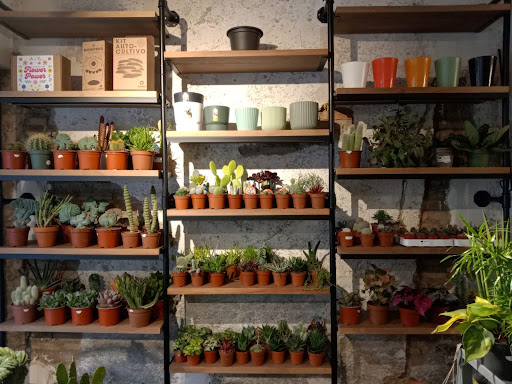 Foto del negocio