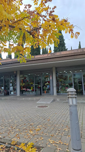 Foto del negocio