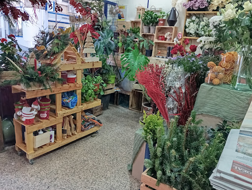 Foto del negocio