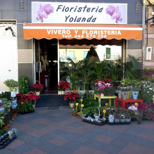 Foto del negocio