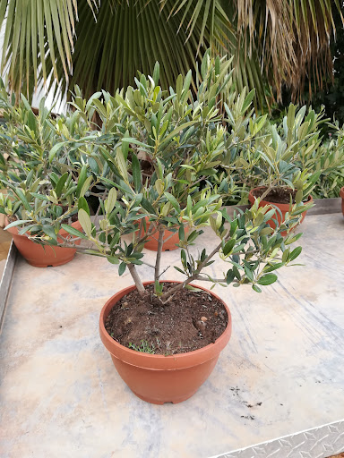 Foto del negocio