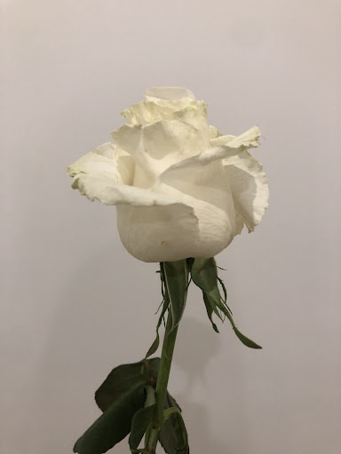 Foto del negocio