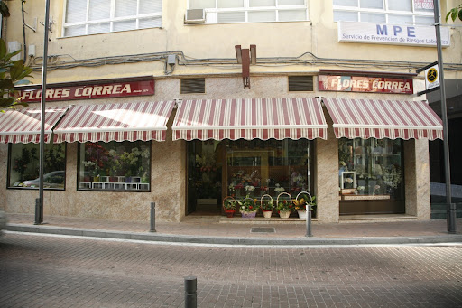Foto del negocio