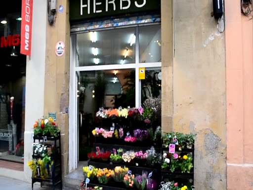 Foto del negocio