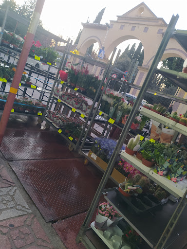 Foto del negocio