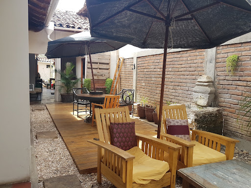 Batidos Pitaya Granada — GASTRONOMIA en Granada