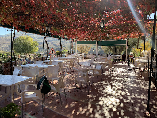 Restaurante Los Naranjos — GASTRONOMIA en Granada