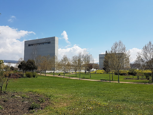 Foto del negocio