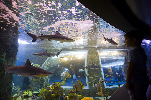 Biodomo Granada — LIFESTYLE en Granada