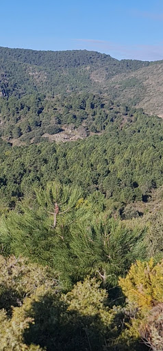 Foto del negocio