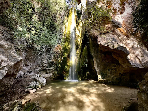 Foto del negocio
