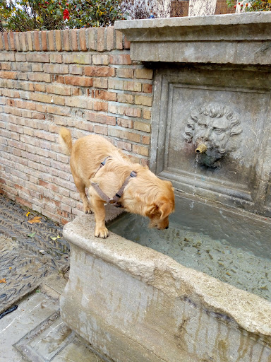 Foto del negocio