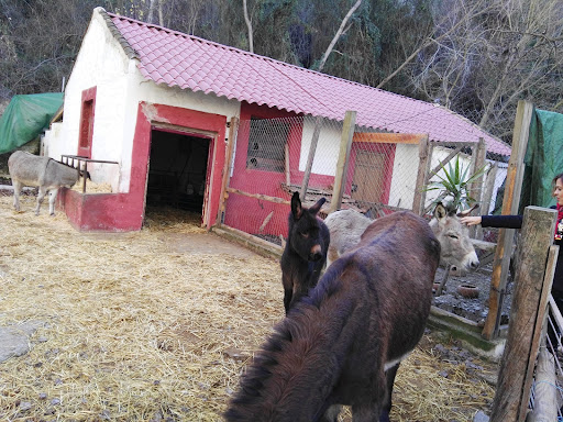 Foto del negocio