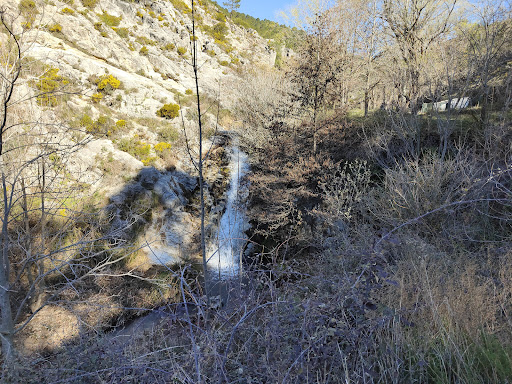 Foto del negocio