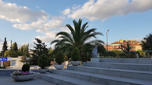 Auditorio Caja Rural Granada — LIFESTYLE en Granada