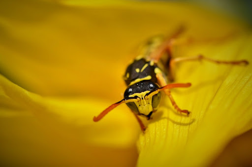 Foto del negocio