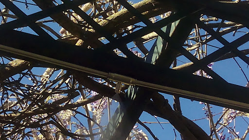 Foto del negocio