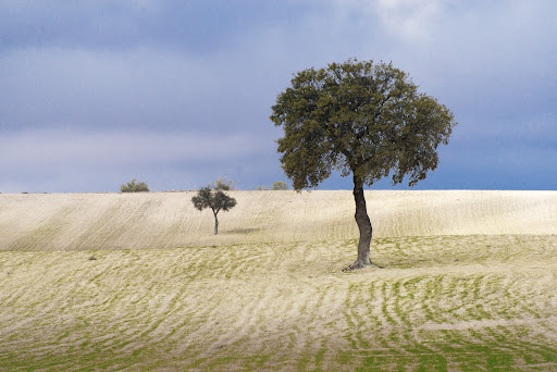 Foto del negocio