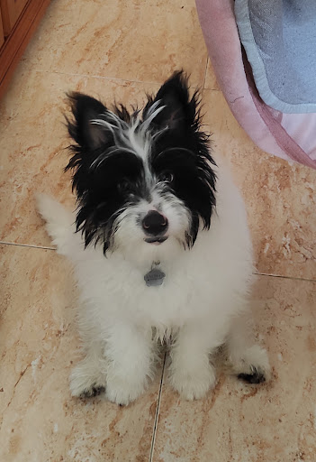 Foto del negocio