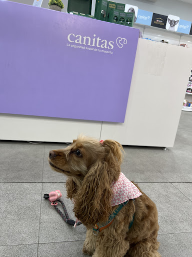 Foto del negocio
