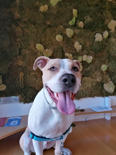 Foto del negocio