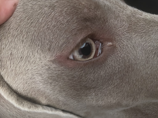 Foto del negocio