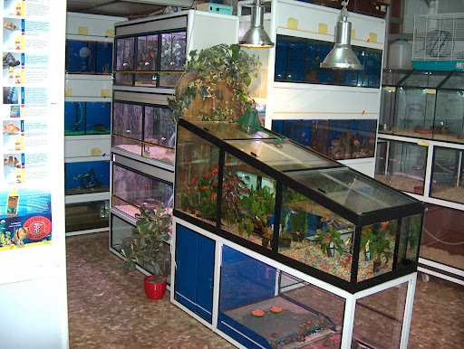 Foto del negocio