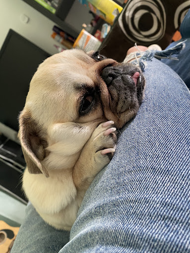 Foto del negocio