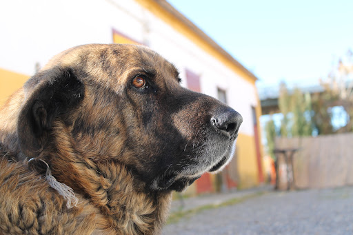 Foto del negocio