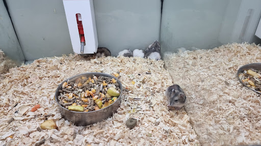 Foto del negocio