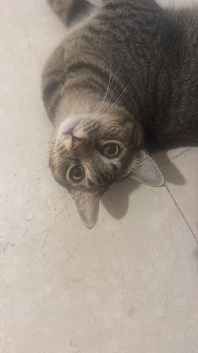 Foto del negocio