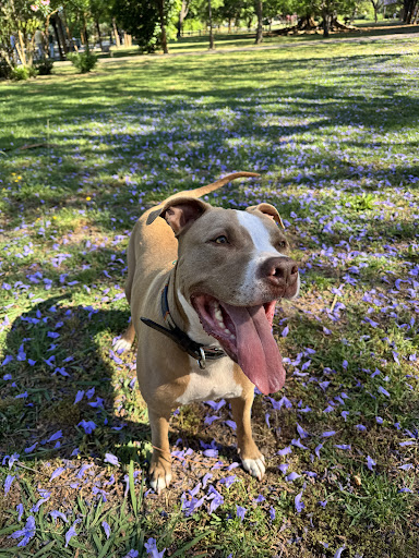Foto del negocio