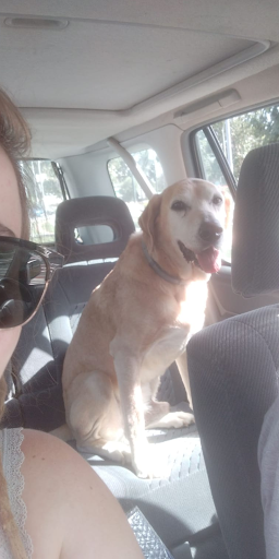 Foto del negocio