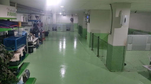 Foto del negocio