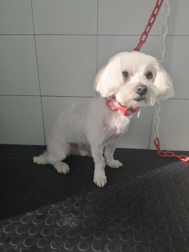 Foto del negocio