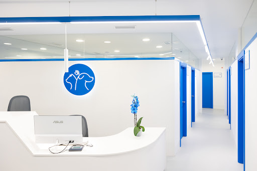 Clínica Veterinaria Armilla — SERVICIOS en Granada