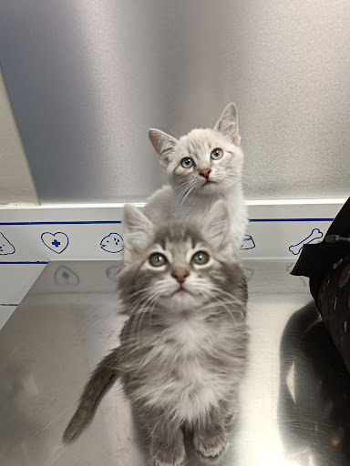 Foto del negocio