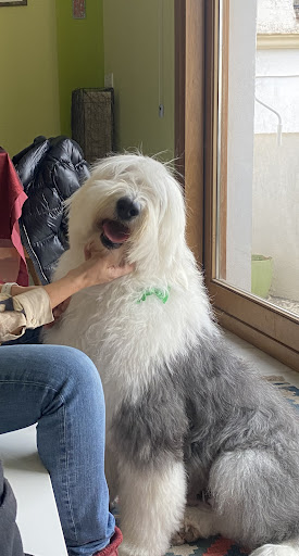 Foto del negocio