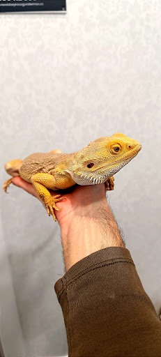 Foto del negocio