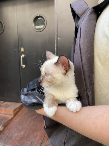 Foto del negocio