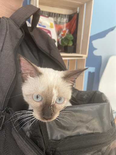 Foto del negocio