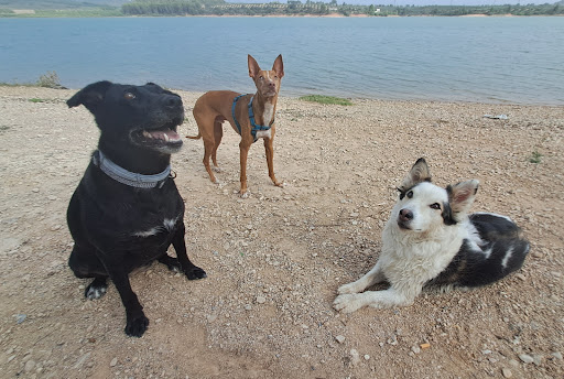 Foto del negocio