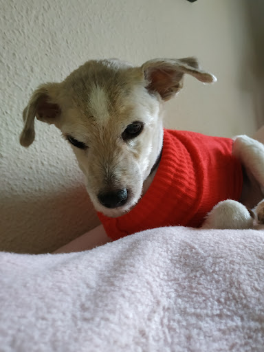 Foto del negocio