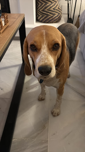 Foto del negocio