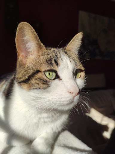 Foto del negocio