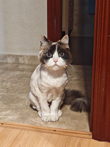 Foto del negocio