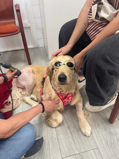 Foto del negocio