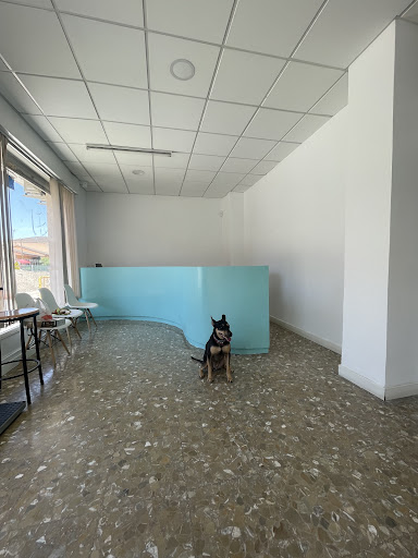 Foto del negocio