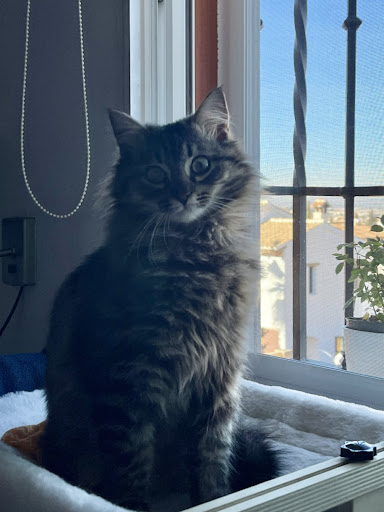 Foto del negocio